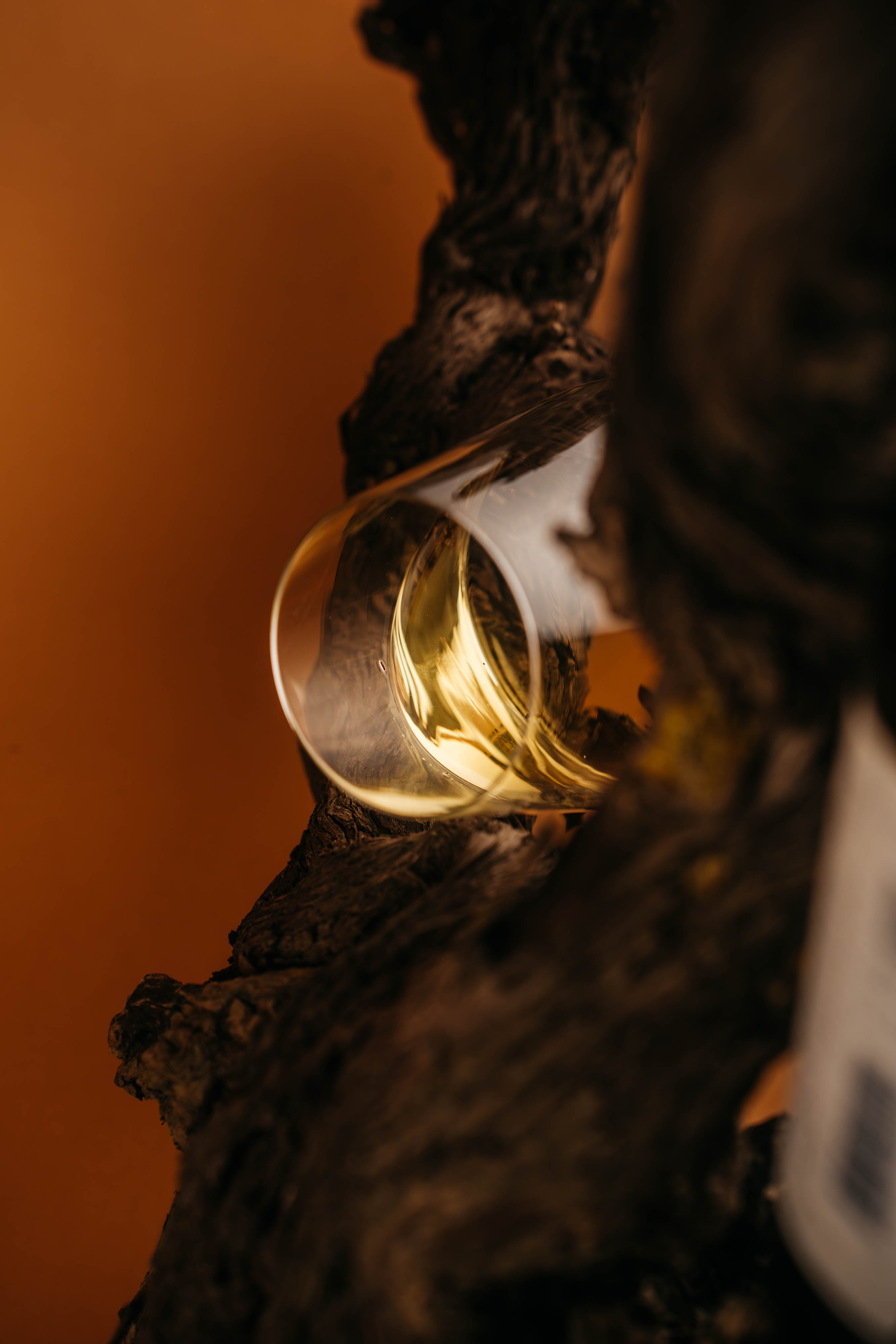 Sonop Chenin Blanc 2025