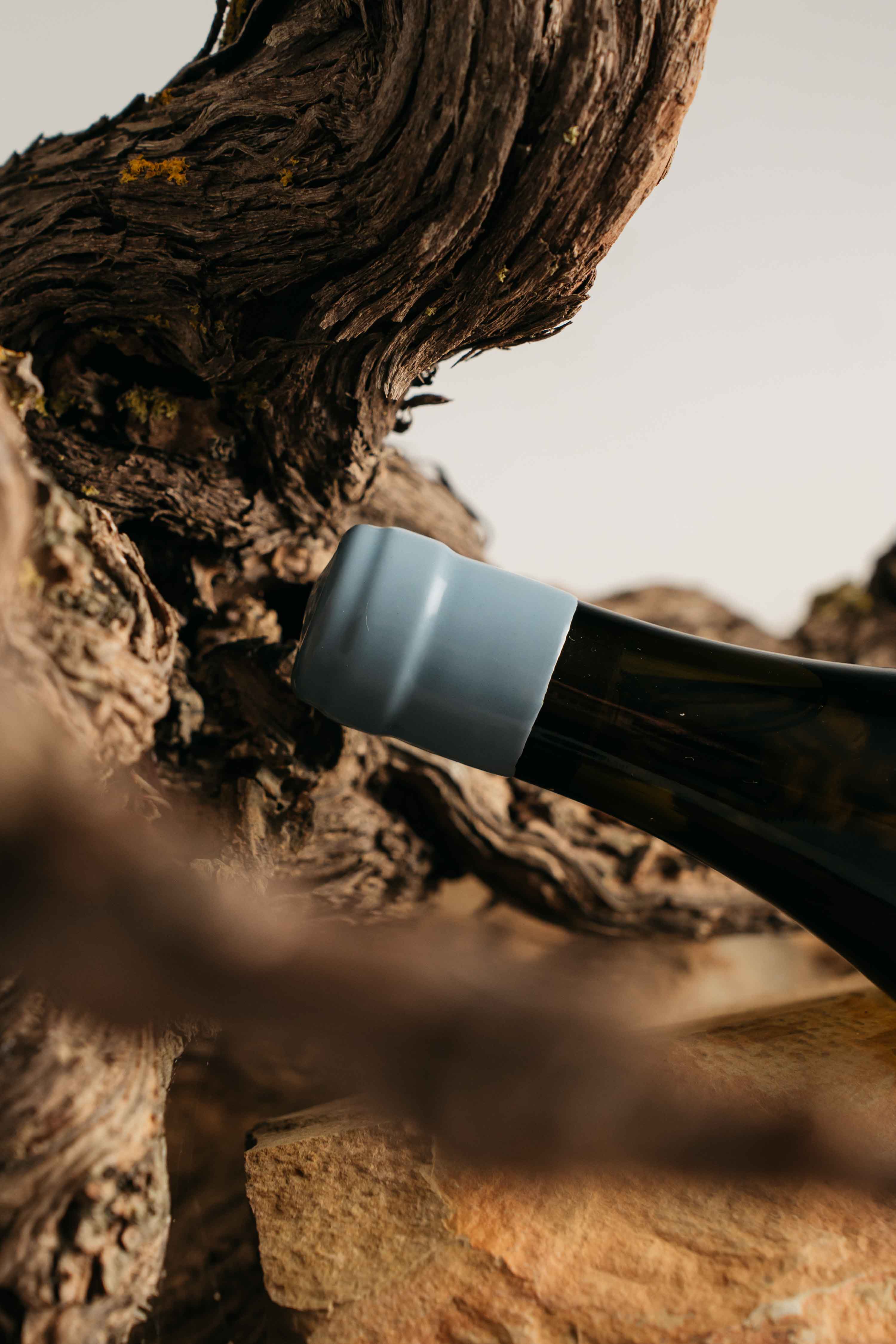 Sonop Chenin Blanc 2024