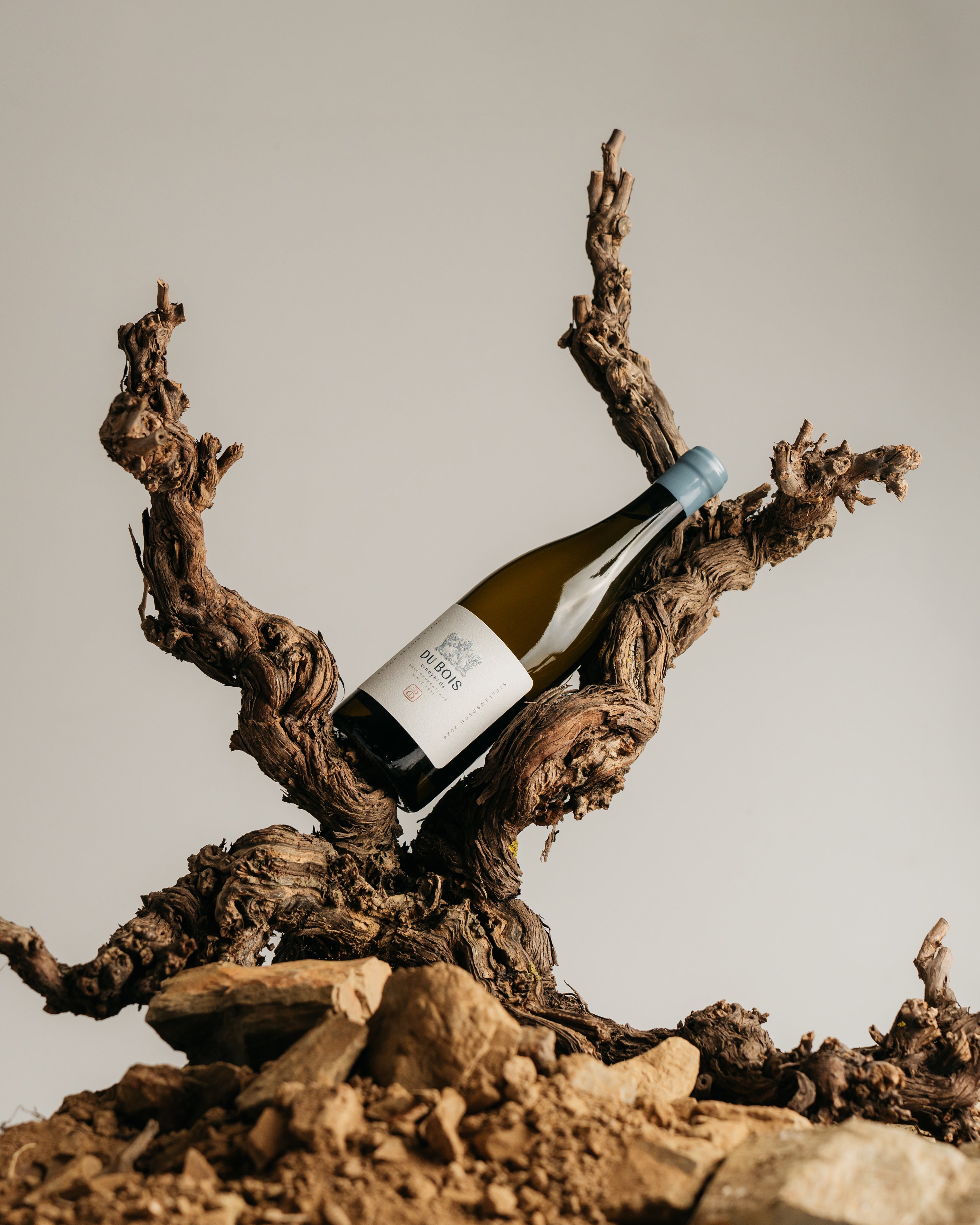 Sonop Chenin Blanc 2024 (6x 750ml bottles)