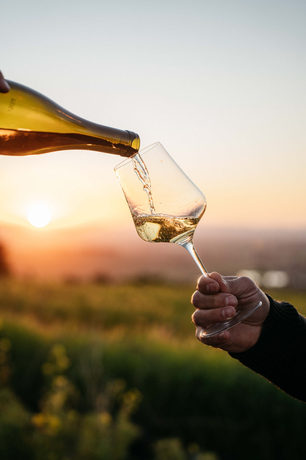 Sonop Chenin Blanc 2024 (6x 750ml bottles)