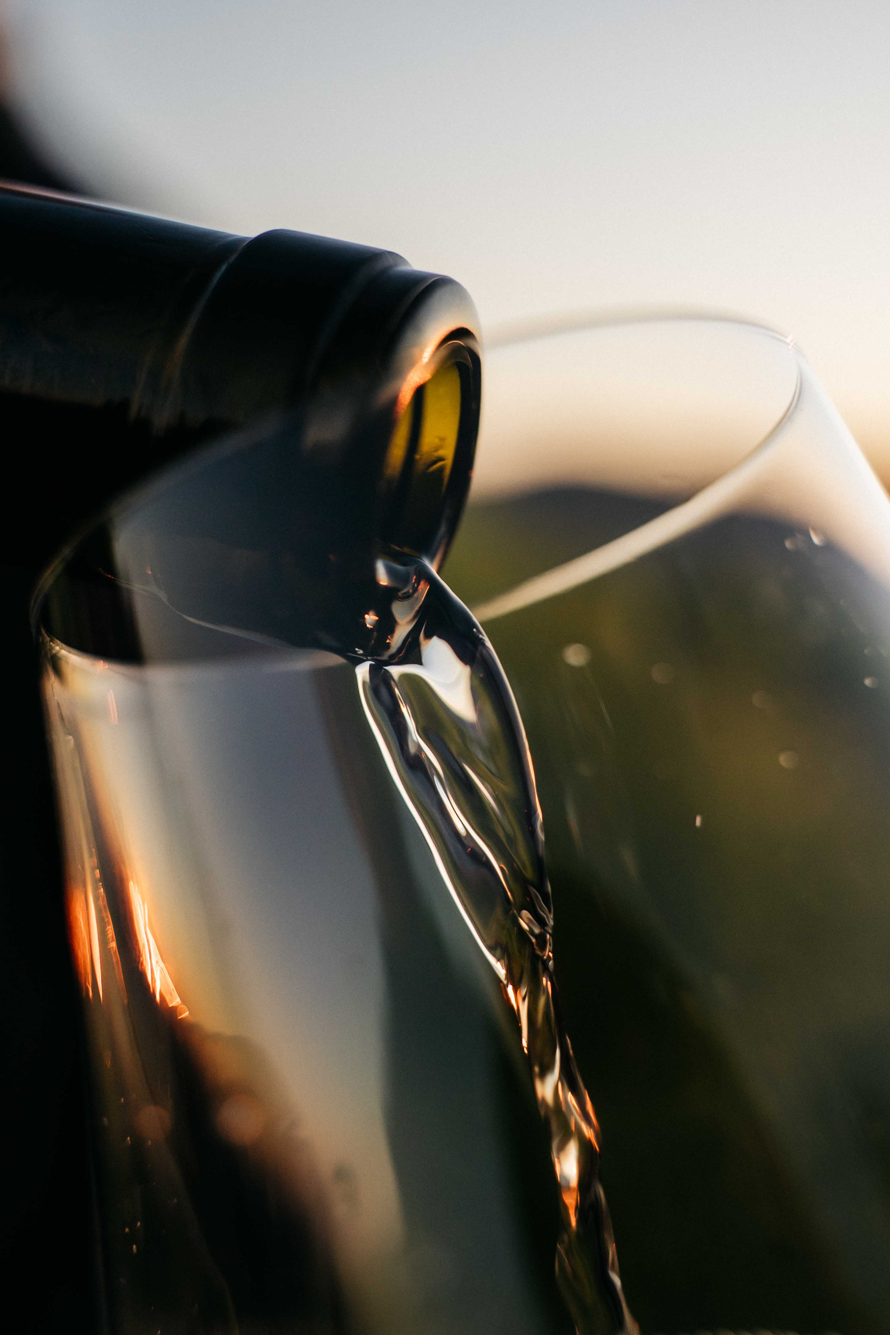 Sonop Chenin Blanc 2024 (6x 750ml bottles)